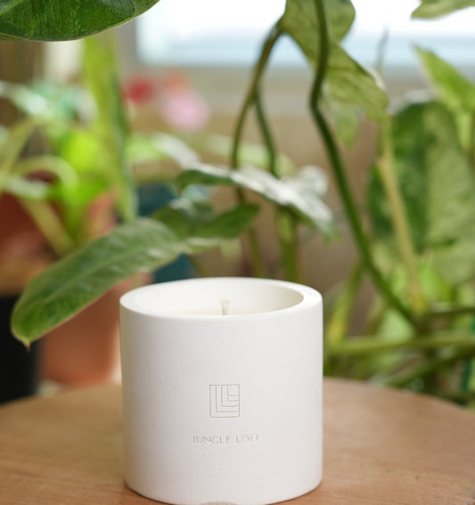 Jungle Lofi Scented Candles - No.1 Amberwood