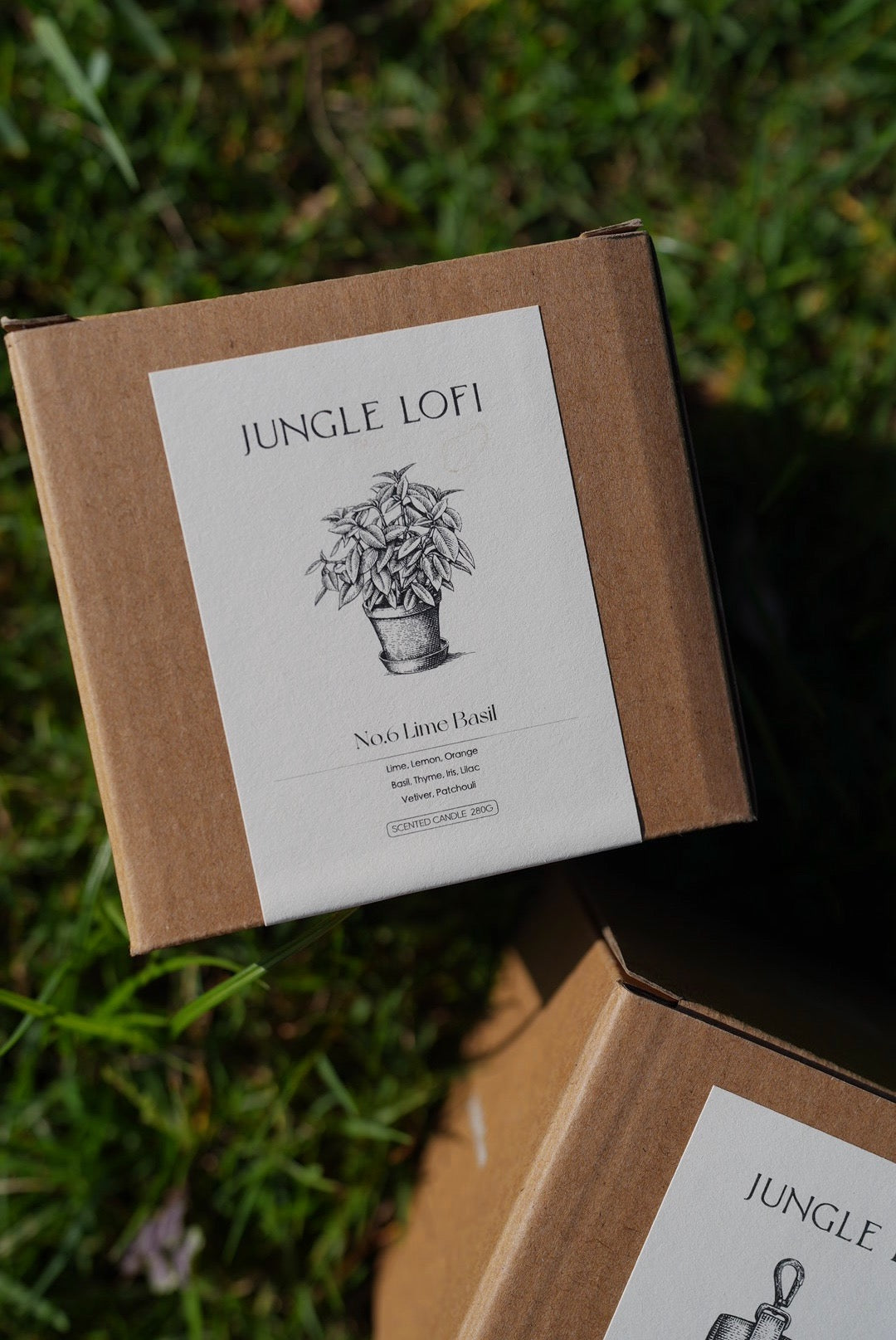 Jungle Lofi Scented Candles - No.6 Lime Basil